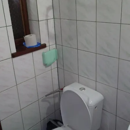 базилік люкс * Yaremche
